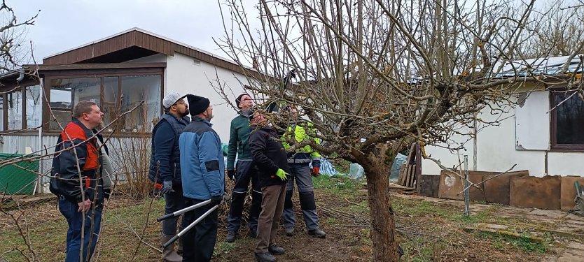 Richtig trimmen will gelernt sein (Foto: Kreisverband der Kleing&auml;rtner)