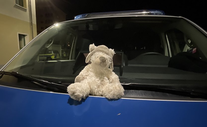 Sucht dringend seinen Besitzer: Teddy (Foto: Polizei) Sucht dringend seinen Besitzer: Teddy (Foto: Polizei)