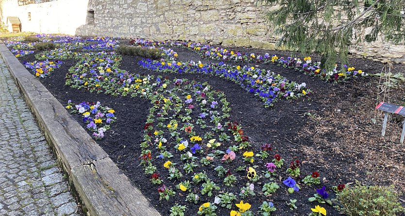 Weiterhin indes und fr&uuml;hlingshaftes Wetter (Foto: oas)