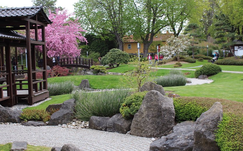Japanischer Garten in Bad Langensalza (Foto: Eva Maria Wiegand)
