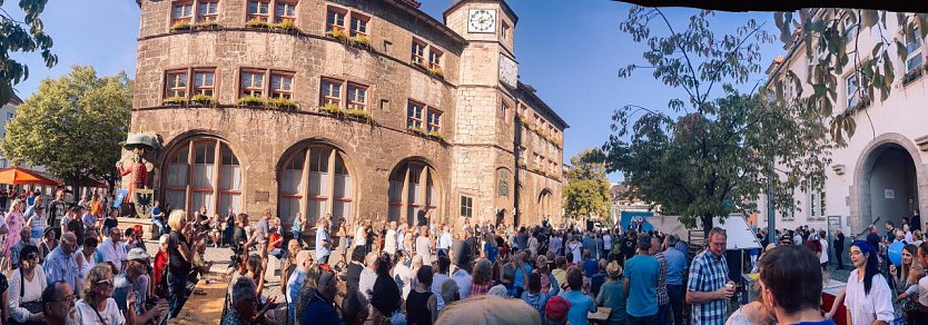Fast 600 kamen zum B&uuml;rgerfest der AfD (Foto: privat)