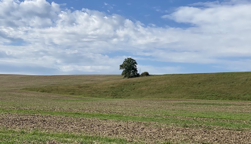 Der Herbst h&auml;lt langsam Einzug in Th&uuml;ringen (Foto: oas)