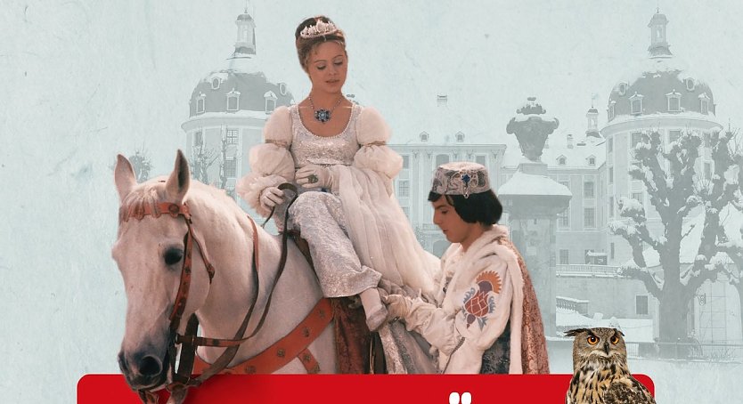 Irrt&uuml;mer zu "Drei Haseln&uuml;sse f&uuml;r Aschenbr&ouml;del" (Foto: &copy; Kristin D&ouml;pel-Rabe)