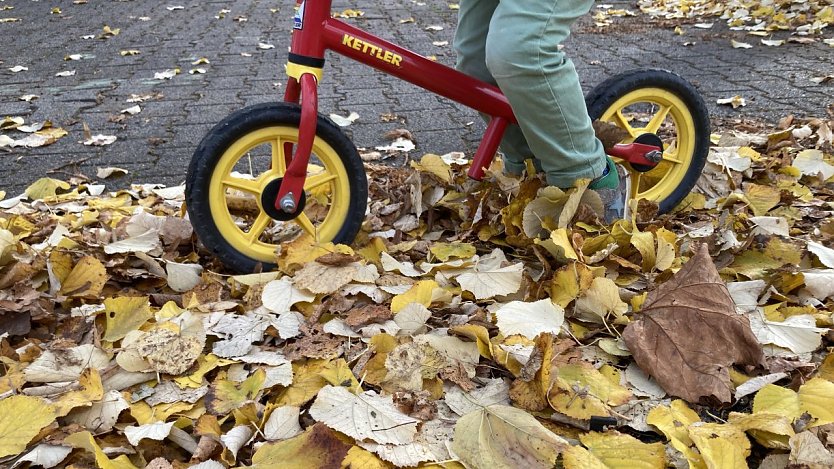 Vorsichtig fahren: In Verbindung mit N&auml;sse wird buntes Laub zu einem rutschig-schmierigen  (Foto: ADAC Hessen-Th&uuml;ringen)