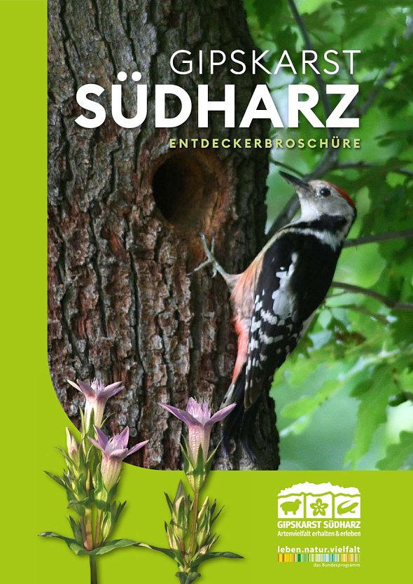 Entdeckerbroschüre für den Südharz (Foto: Biosphärenreservat Südharz) Entdeckerbroschüre für den Südharz (Foto: Biosphärenreservat Südharz)