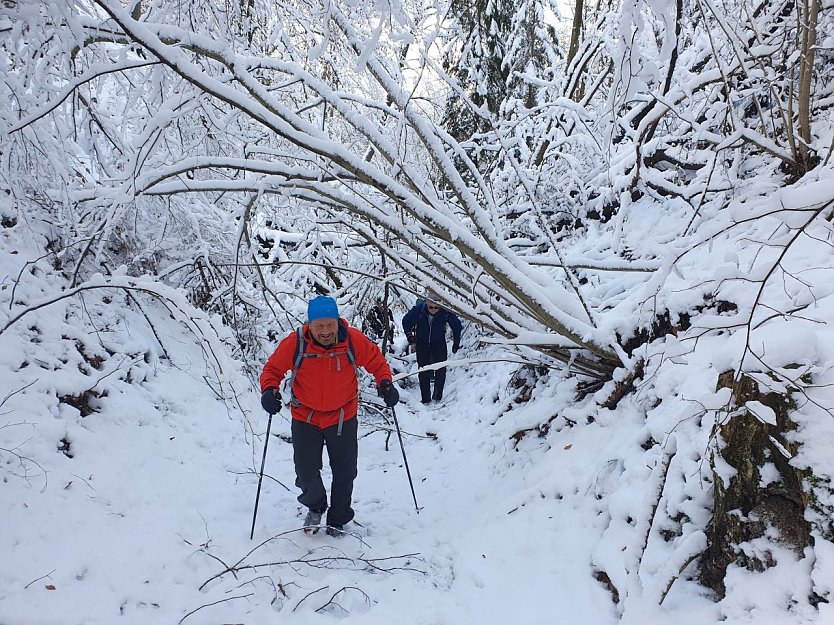 Im Alten Stolberg erschwerten umgestürzte Bäume zeitweise das Vorankommen (Foto: Bodo Schwarzberg) Im Alten Stolberg erschwerten umgestürzte Bäume zeitweise das Vorankommen (Foto: Bodo Schwarzberg)