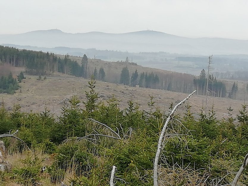 Der Brocken und Wurmberg im Hintergrund, Fr&uuml;hnebel bei 10 Grad (Foto: W. J&ouml;rgens)