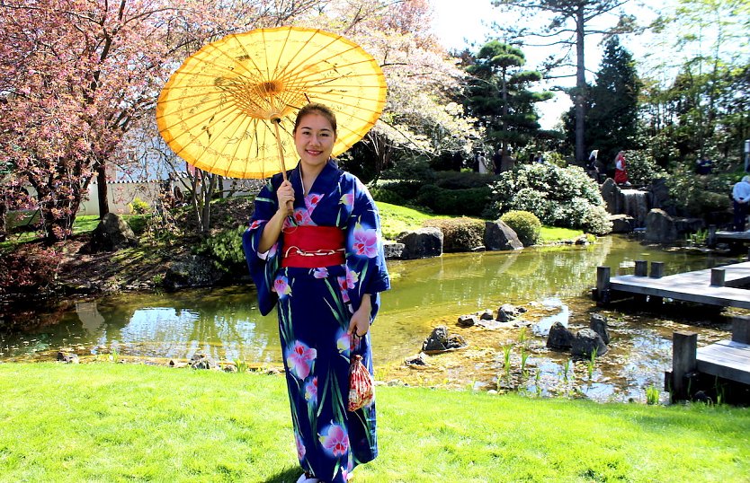 Japanisches Kirschbl&uuml;tenfest Hanami in Bad Langensalza (2023) (Foto: Eva Maria Wiegand)