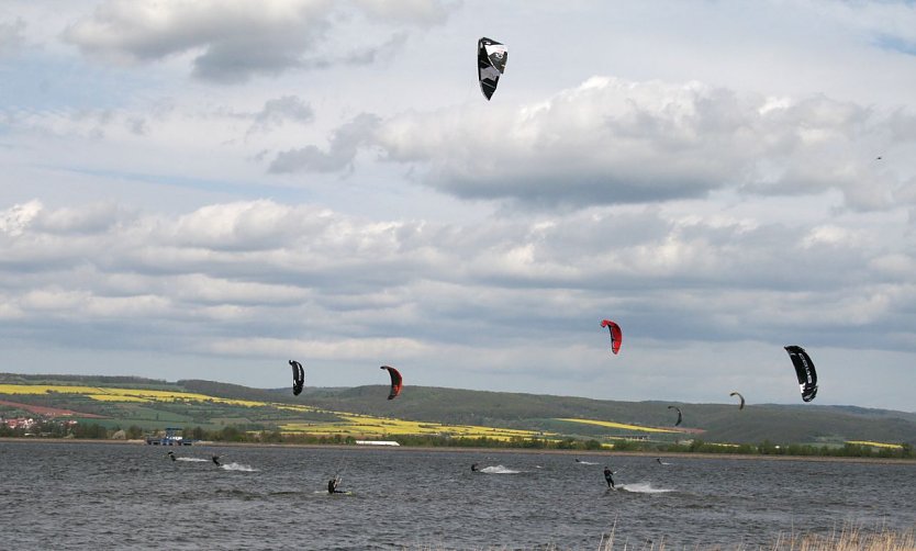 Sieben auf einem Streich  (Foto: U. Reinboth )