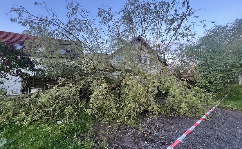 Baum st&uuml;rzt in Nordhausen auf eine Zaunanlage (Foto: Silvio Dietzel)