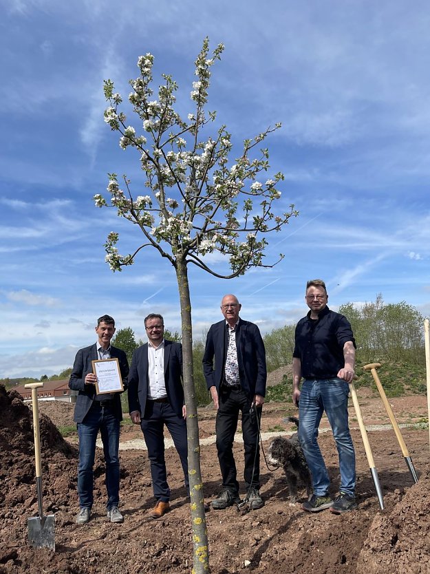Der erste Baum ist gepflanzt (Foto: Stadt Leinefelde-Worbis)