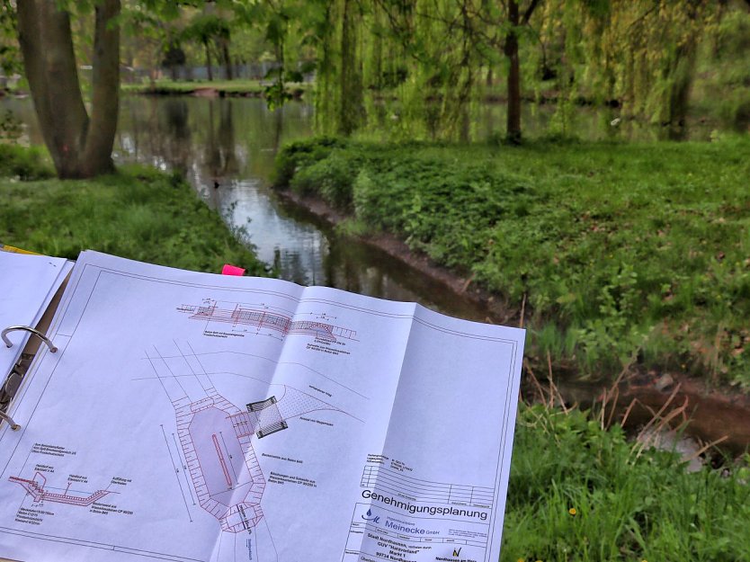 Im Stadtpark soll ein Kneippbecken gebaut werden (Foto: Stadt Nordhausen)