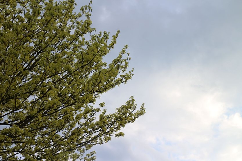 Wetterbild (Foto: agl)