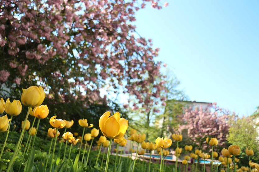Wetterbild (Foto: agl) Wetterbild (Foto: agl)