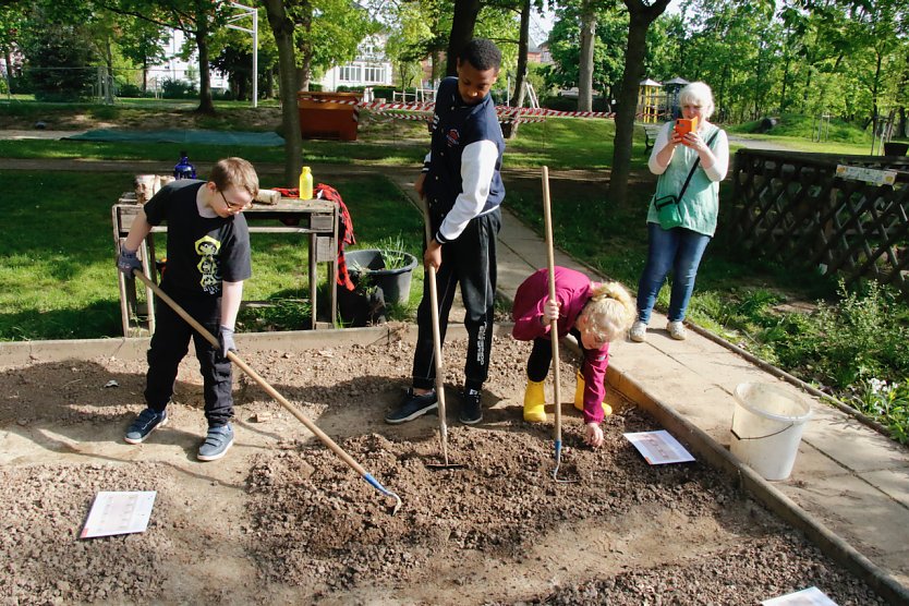 Sellerie und Lauch auf Sechs - im Pflanzplan hat jedes Gemüse seinen Ort und seine Zeit (Foto: agl) Sellerie und Lauch auf Sechs - im Pflanzplan hat jedes Gemüse seinen Ort und seine Zeit (Foto: agl)