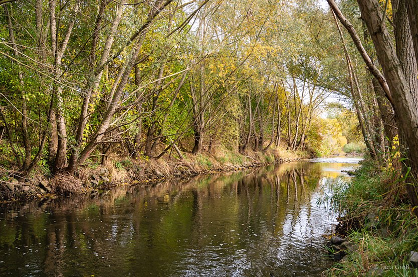 Die Wipper von der Quelle bis zur Mündung (Foto: Jana Groß) Die Wipper von der Quelle bis zur Mündung (Foto: Jana Groß)