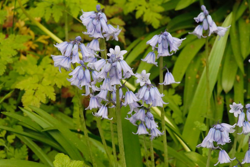 Wetterbild (Foto: agl)