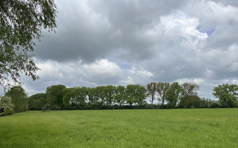 Sch&ouml;nes Wanderwetter zum Vatertag (Foto: oas)