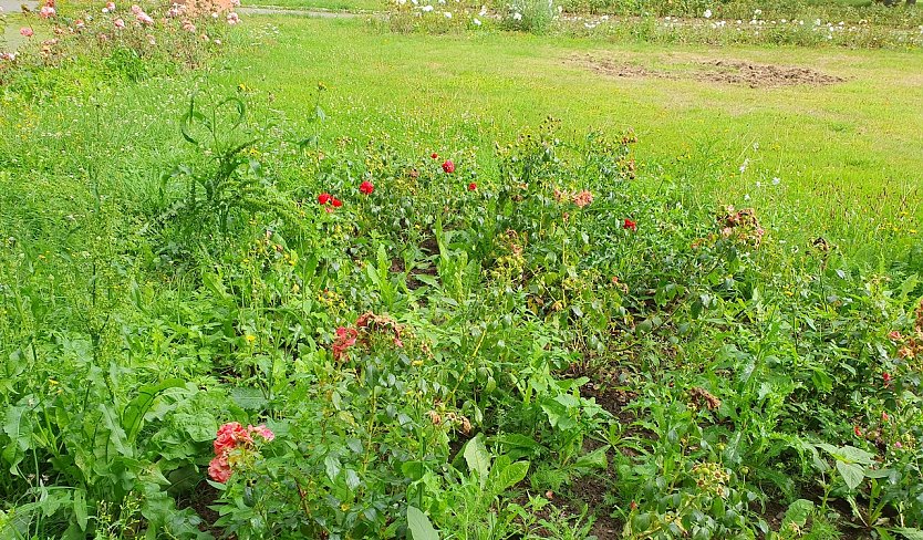 Die einst pr&auml;chtige Gartenanlage ist in einem verlotterten Zustand (Foto: L.-G. Beck)