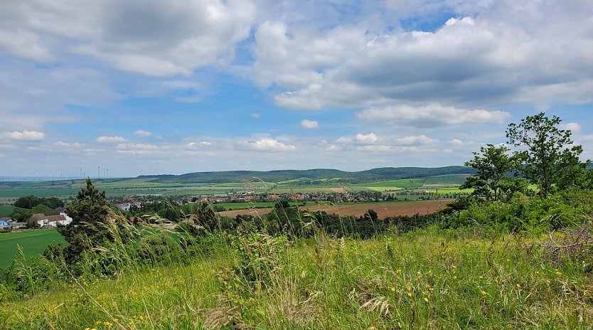 Wundersch&ouml;n: Oberheldrungen/Harras (Foto: Doris Weber )
