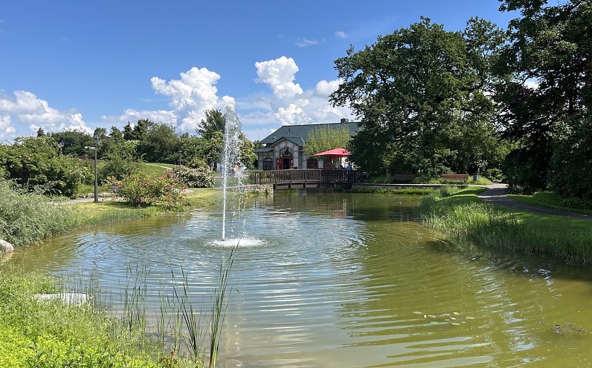 Im Rosengarten Bad Langensalza (Foto: oas)