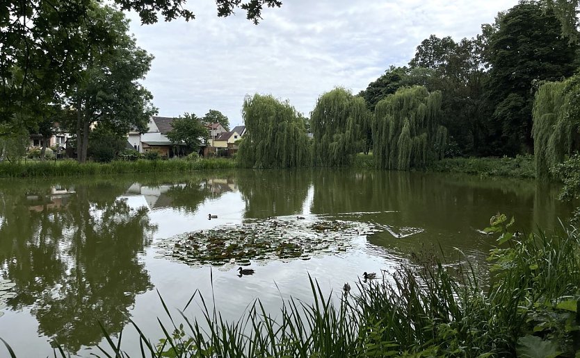 Heftige Regenf&auml;lle bedrohen Veranstaltungen am Samstag (Foto: oas)