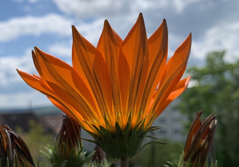Etwas Regen und starker Wind (Foto: emw)