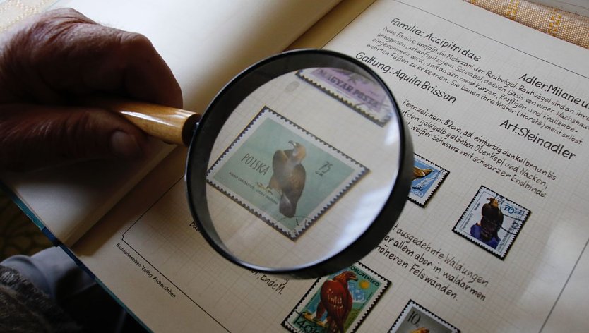 Briefmarken muss man nicht allein im stillen K&auml;mmerlein sammeln, im Gegenteil - die Philatelie hilft gegen die Einsamkeit, meinen die Nordh&auml;user Briefmarkensammler (Foto: agl)