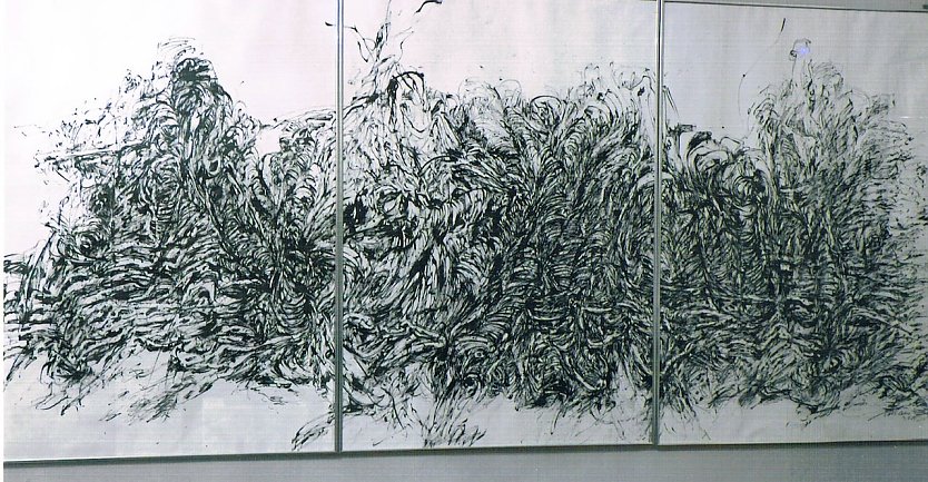 Heinz Scharr Meine Naturbilder, Schloss Sondershausen  (Foto: H. Kneffel )