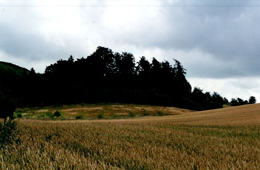 Wohngb&auml;ude der Scharrs in Utterode (Foto: H.Kneffel)