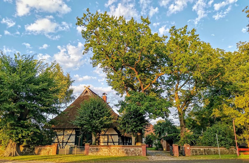 Im l&auml;ndlichen Mecklenburg, unweit von Schwerin in der Gemeinde Plate (Foto: Gerald Sch&uuml;tze)