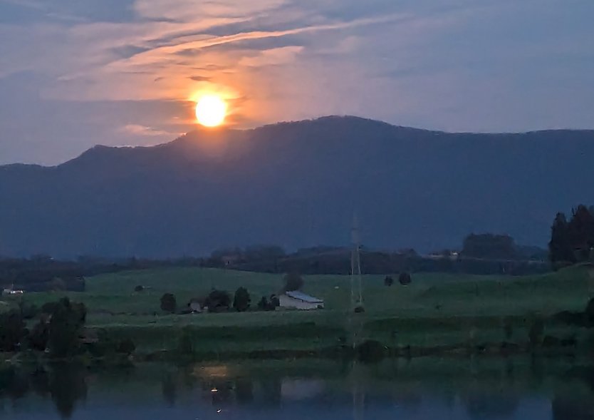 Wundersch&ouml;nes Allg&auml;u (Foto: Karina Kaufmann)