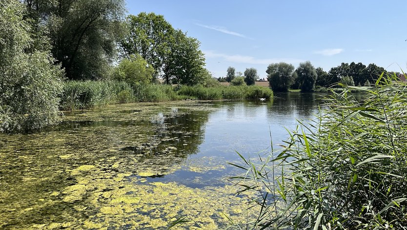 Am Opfermoor in Niederdorla (Foto: oas)