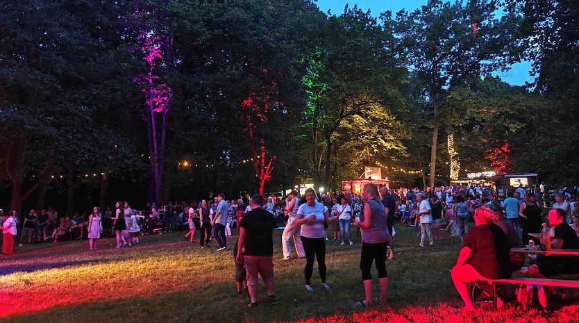 Partyfeeling beim Parknick im Förstemannpark (Foto: P.Blei) Partyfeeling beim Parknick im Förstemannpark (Foto: P.Blei)