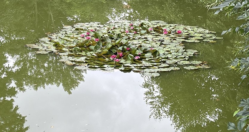 Gewitterneigung steigt wieder an (Foto: oas)