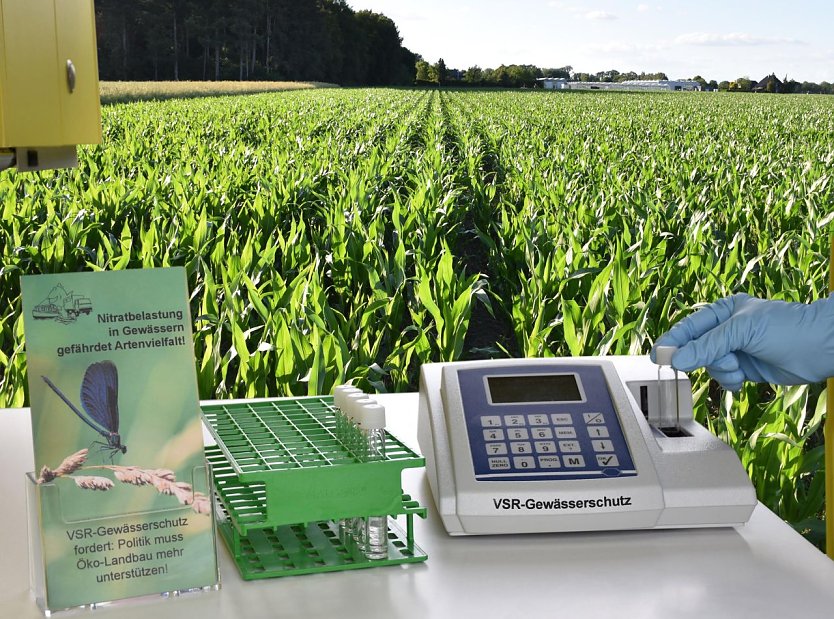 Nitratuntersuchung am Maisfeld (Foto: Anja Roth)
