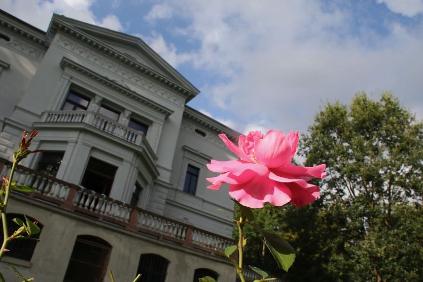 Wetterbild (Foto: agl)