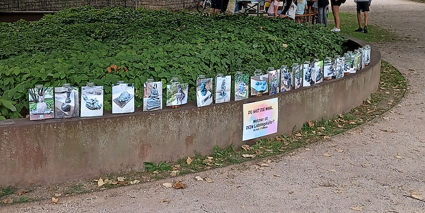 Keine leichte Wahl - 25 Treppenk&auml;fer finden sich in Nordhausen (Foto: JuSoWe)