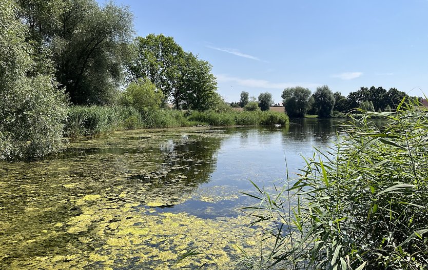 Opfermoor bei Niederdorla (Foto: oas)