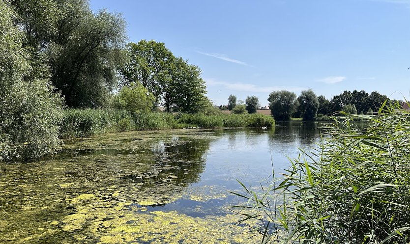 Gewitterneigung nimmt wieder zu (Foto: oas)