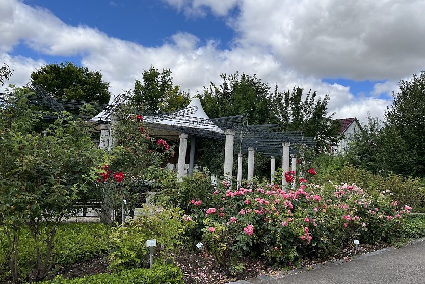 Rosengarten Bad Langensalza (Foto: oas)