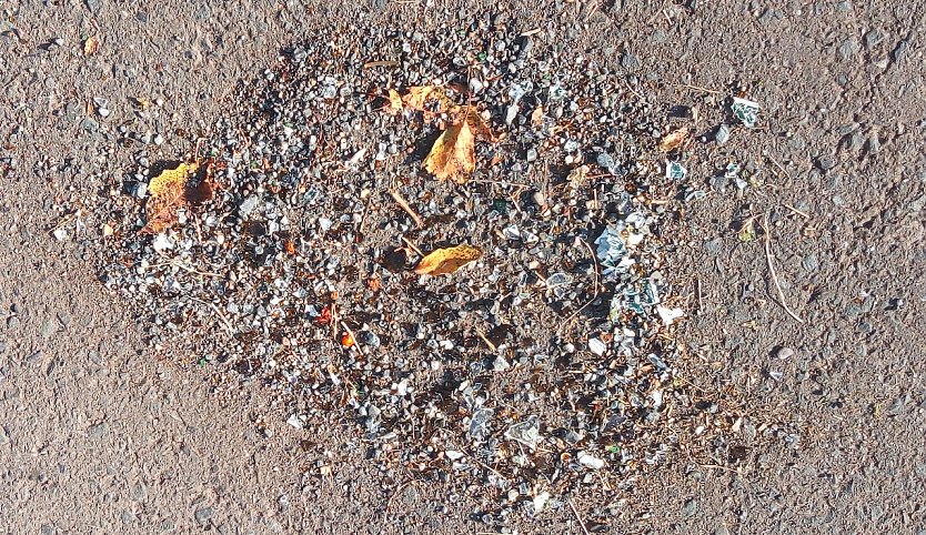 Scherben vorm Turm (Foto: U.Reinboth)