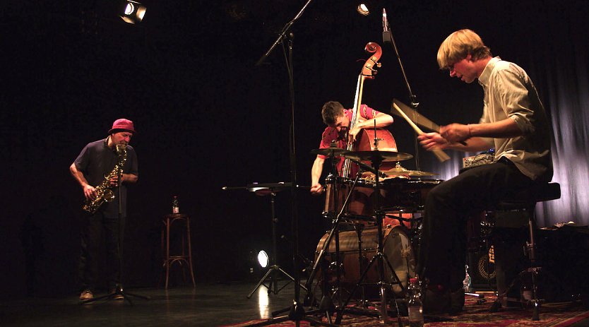 MOTUSNEU im Konzert (Foto: &copy;Sebastian-Brunnlechner)