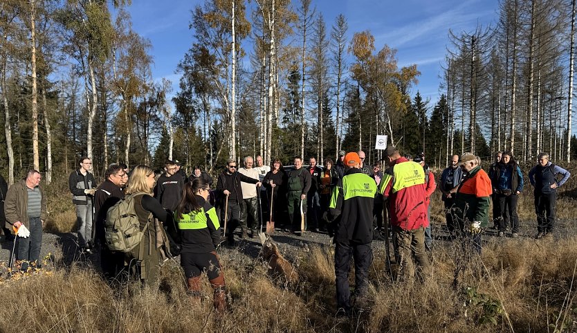 !000 B&auml;ume wurden Gestern neu gepflanzt (Foto: C.Wilhelm)