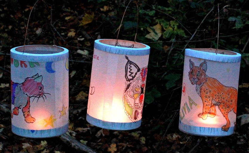 Laternen mit Katzenmotiven gestaltet (Foto: &copy; Wildtierland Hainich gGmbH)