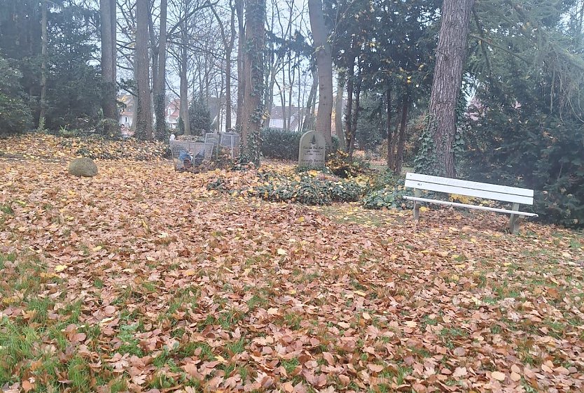 Die Wege auf dem Hauptfriedhof sind momentan gut abgedeckt von dem Laub der B&auml;ume (Foto: P.Blei)
