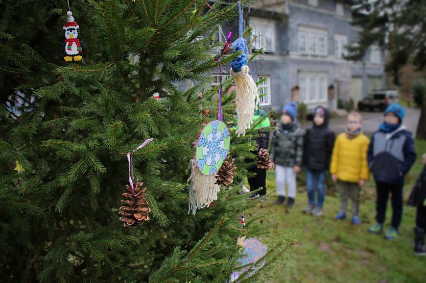 Die Schattenkinder schm&uuml;ckten heute ihren Baum im Park Hohenrode (Foto: F&ouml;rderverein Park Hohenrode)