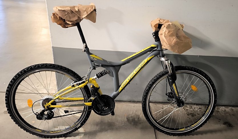 Gestohlenes Fahrrad (Foto: Polizei )
