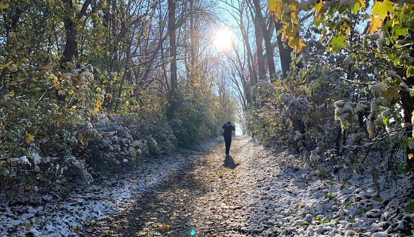 Es bleibt frostig (Foto: oas)