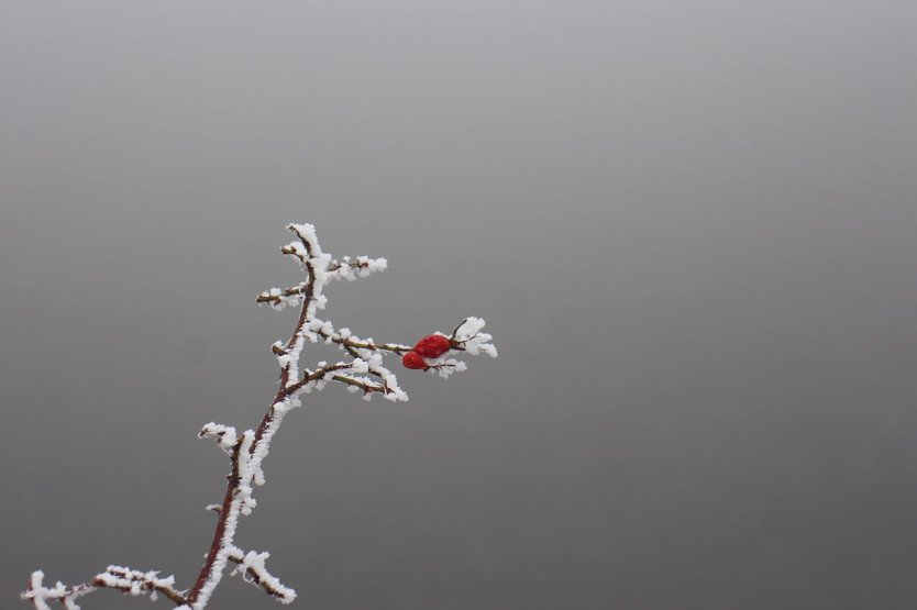 Wetterbild (Foto: agl)